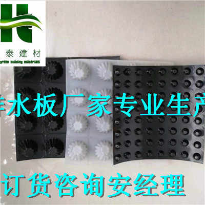 阳泉PDS30高分子防护排水异形片 现代建筑排水的可靠之选